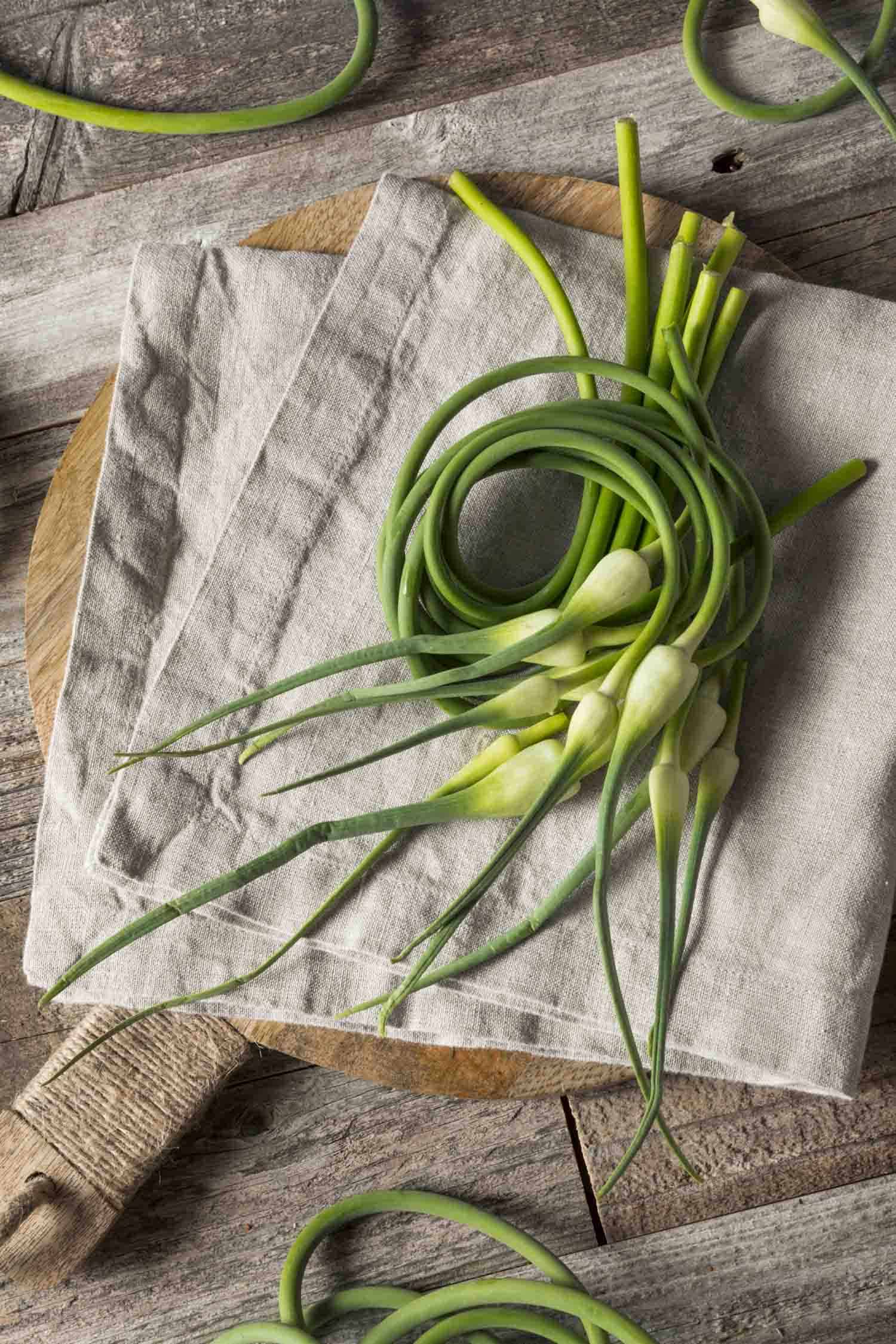 Garlic scapes on a linen napkin on a table.