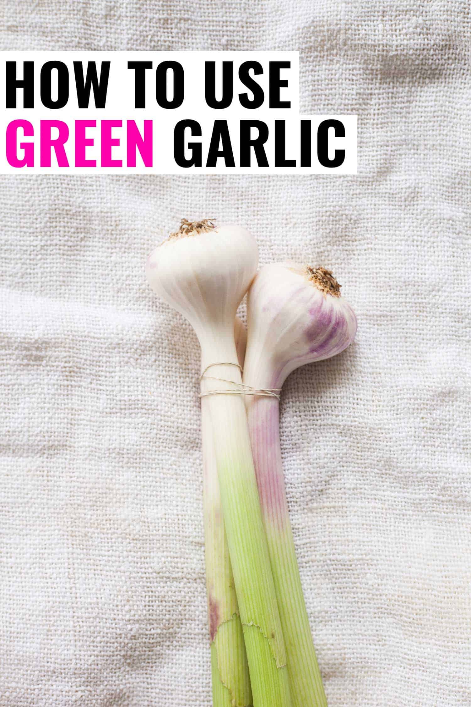 two green garlic on a linen background