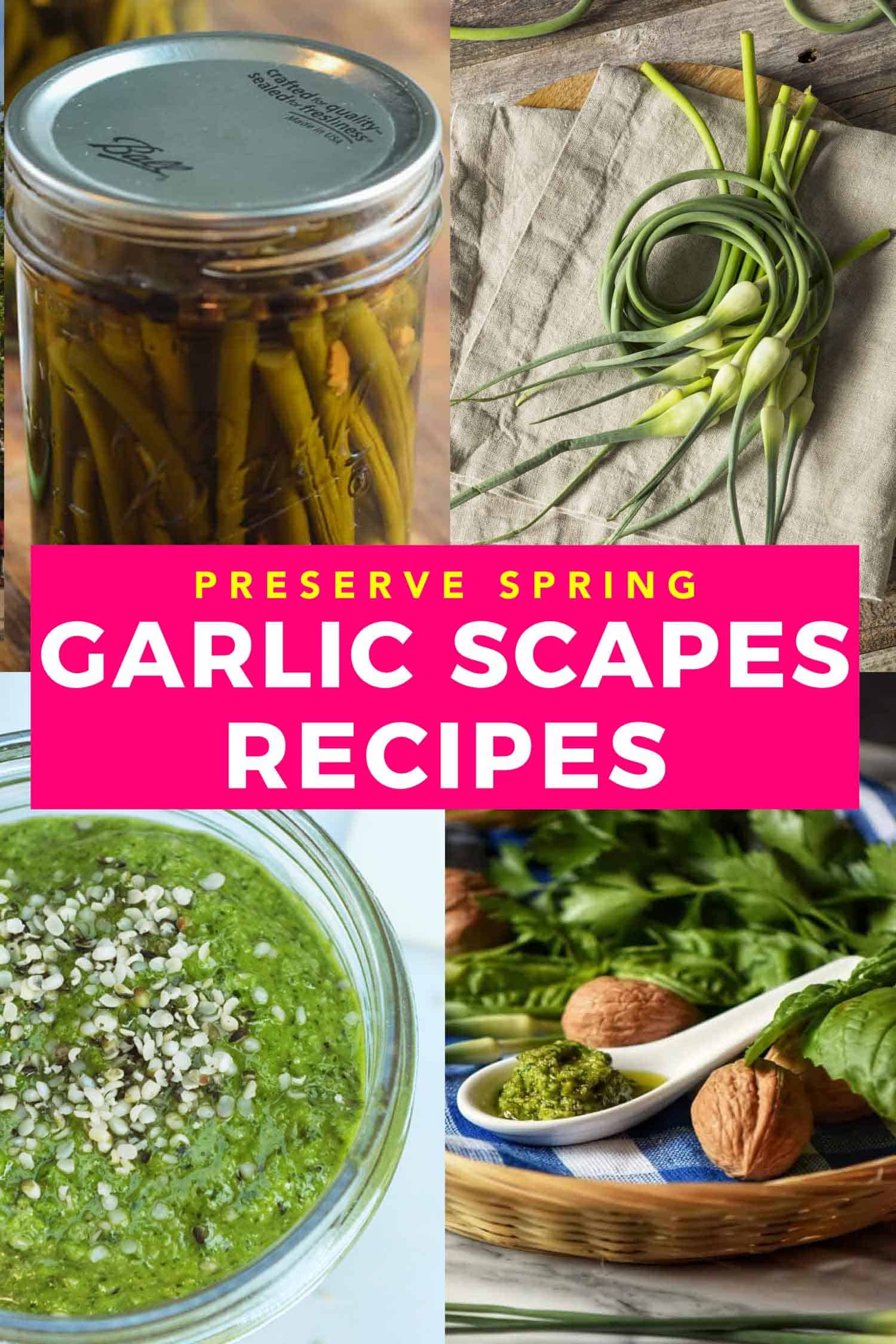 collage of garlic scapes recipes