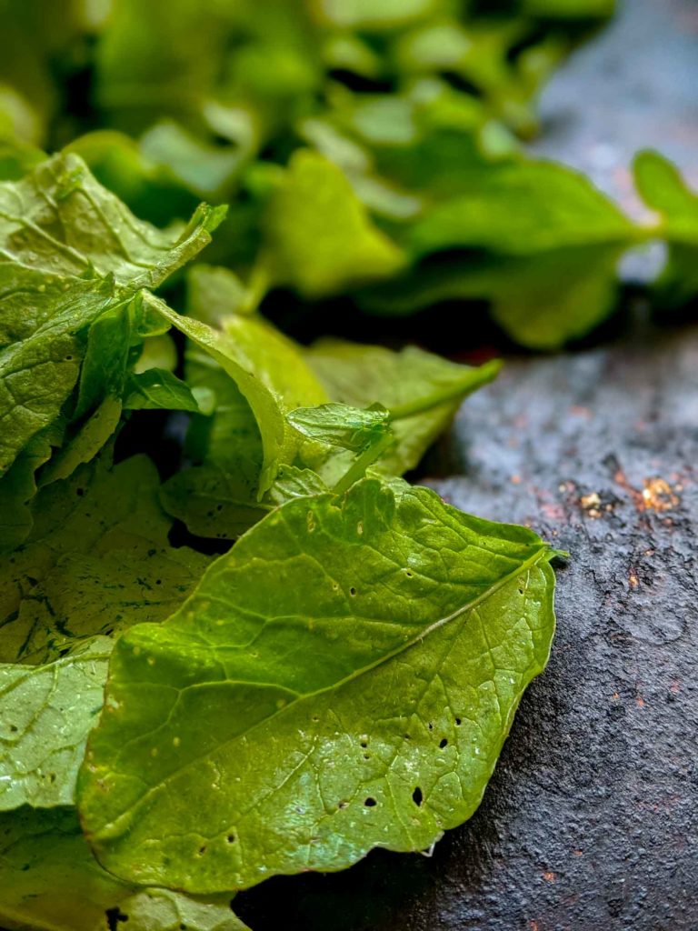 Radish leaves with some in focus and others not