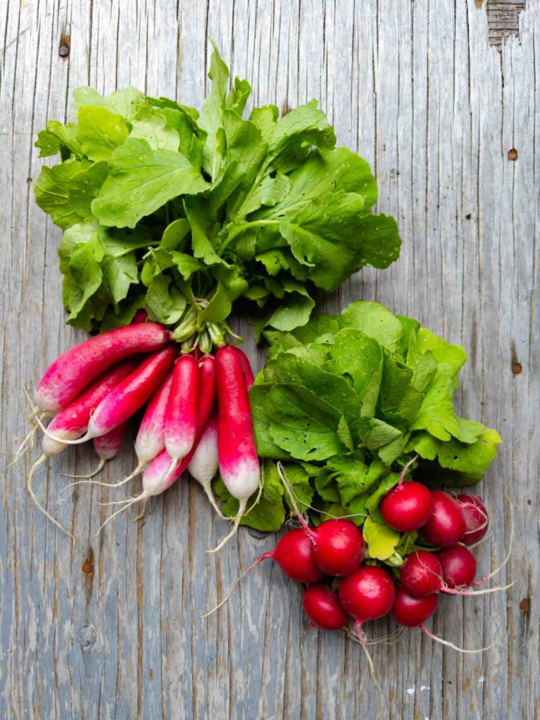 Two bunches of radishes from a farmers market on a grey wooden background. 
