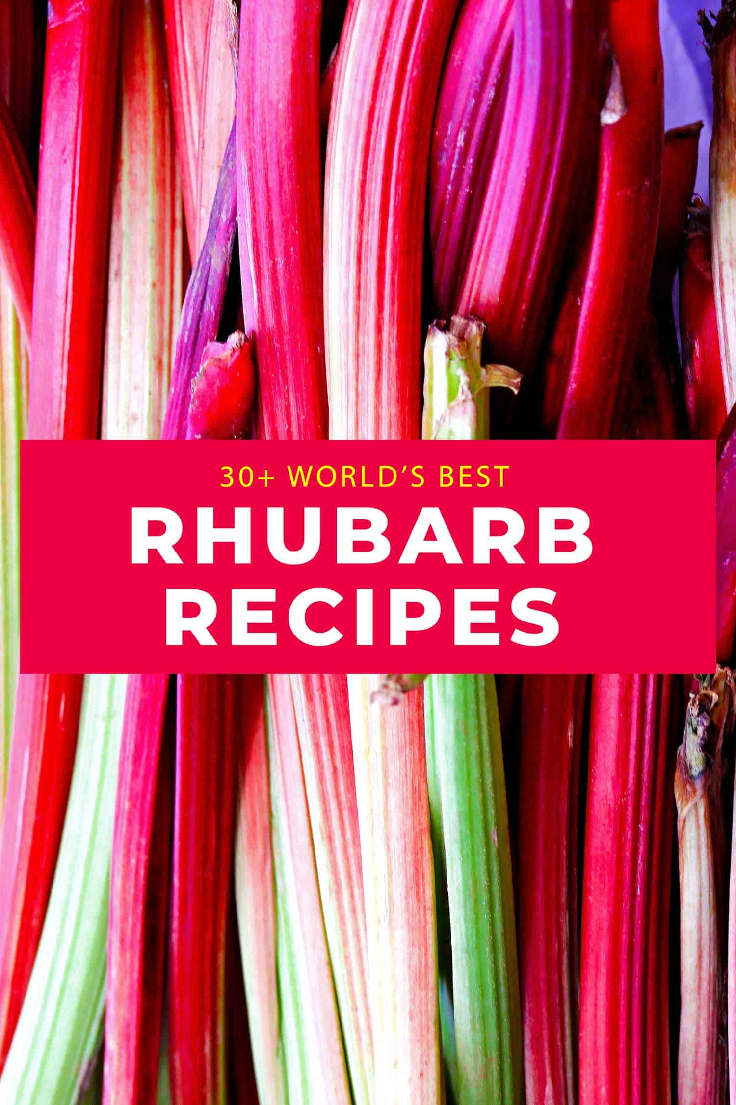 Rhubarb stalks