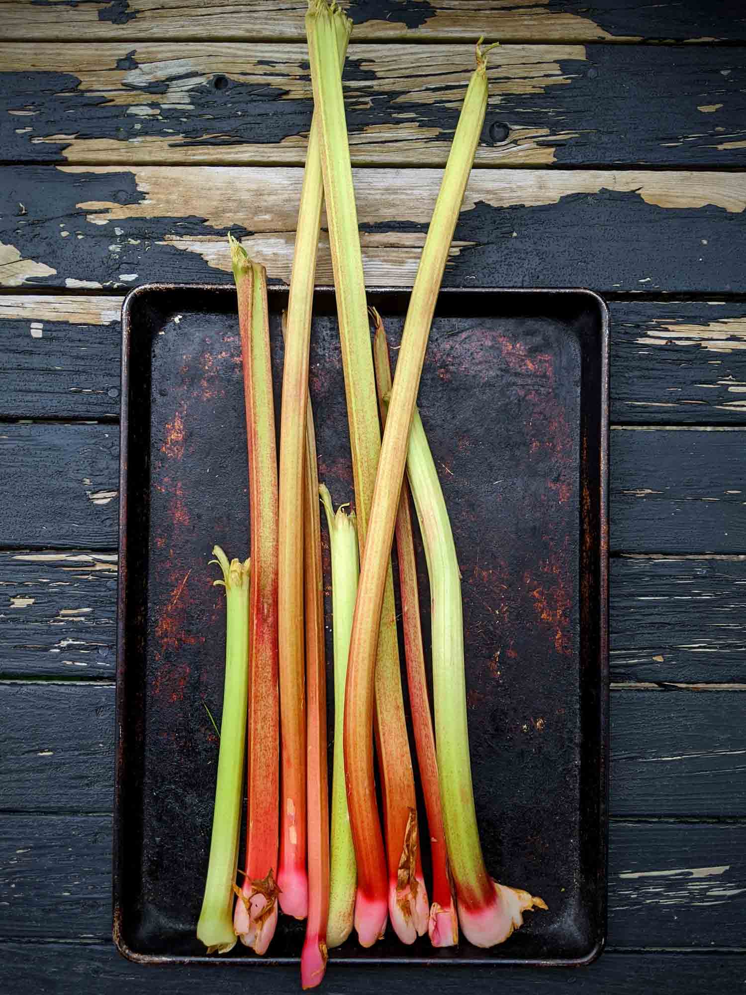 rhubarb on a baking sheet on a worn down wooden background