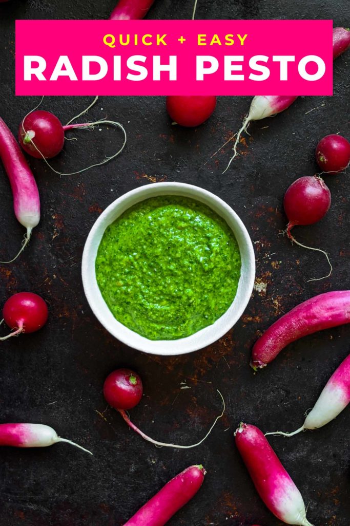 Radish top pesto on a dark background surrounded by two kinds of radishes and leaves