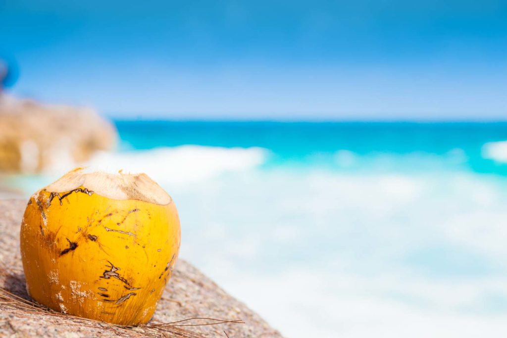 Fresh coconut cocktail on a tropical beach