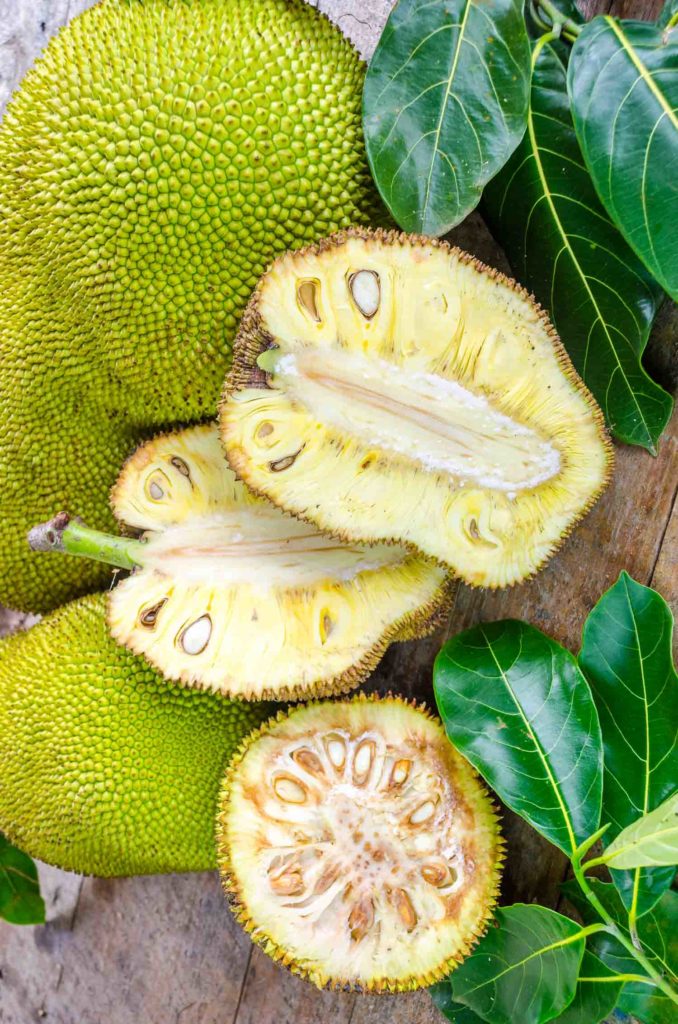 Cross-section ripe fruit of giant Jack-fruit.