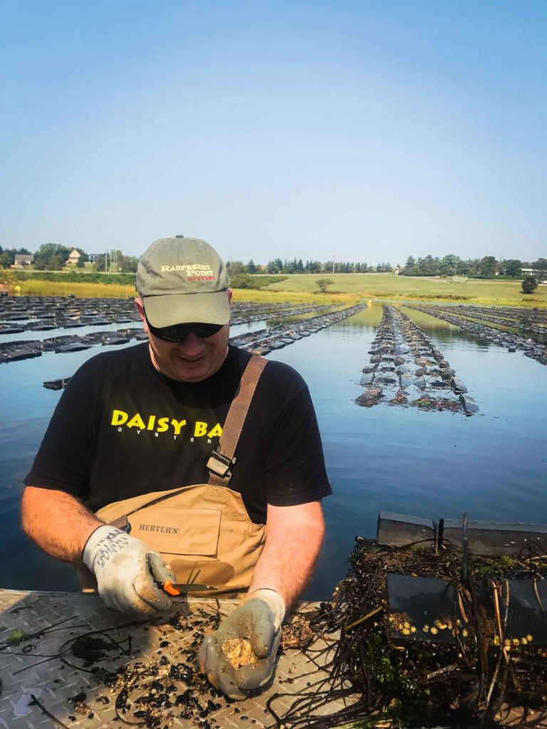 James Strong from Raspberry Point Oysters Prince Edward Island