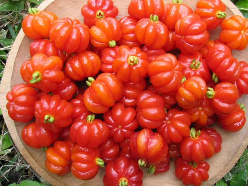 19 Unique Brazilian Fruits You'll Want to Travel For + PHOTOS