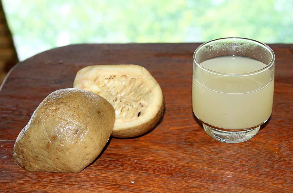 Brazilian jenipapo fruit cut open and juice next to it