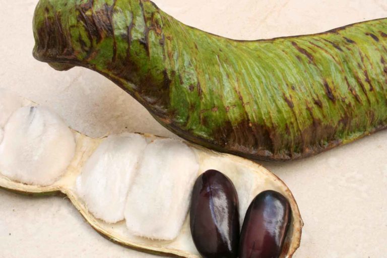 15 Awesome Guatemalan Fruit to Try + PHOTOS