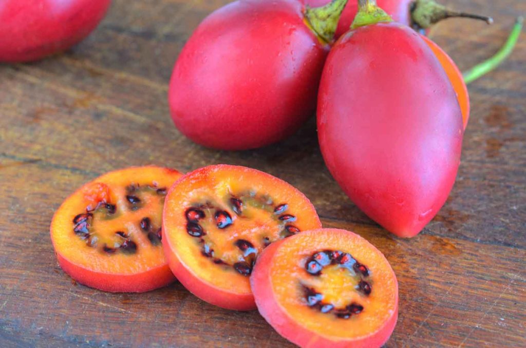 Red tamarillo or tree tomato in Ecuador cut into slices on cut board. Exotic fruit Tamarillo