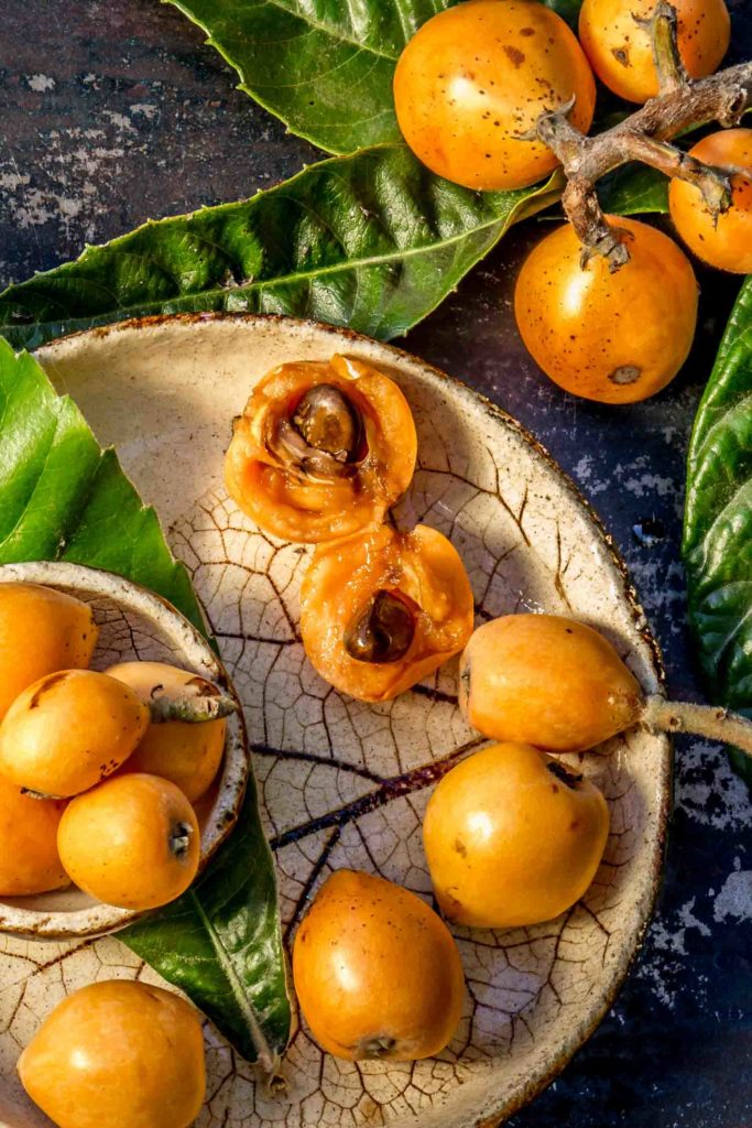 Loquat fruit. Nispero in Ecuador. Eriobotrya Japonica. Loquat with fresh leaves on metal background.