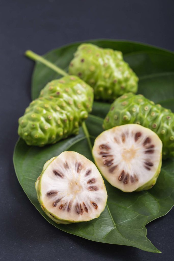 Fruit of Great morinda (Noni) or Morinda citrifolia tree and green leaf on black stone board background