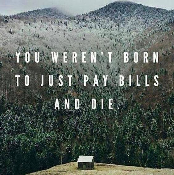 Quote: You weren't born to just pay bills and die with landscape image