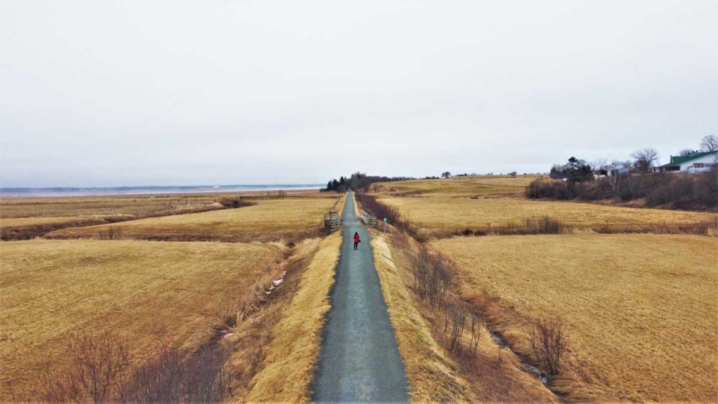 Ayngelina at Cobequid Trail Old Barns in Truro Nova Scotia