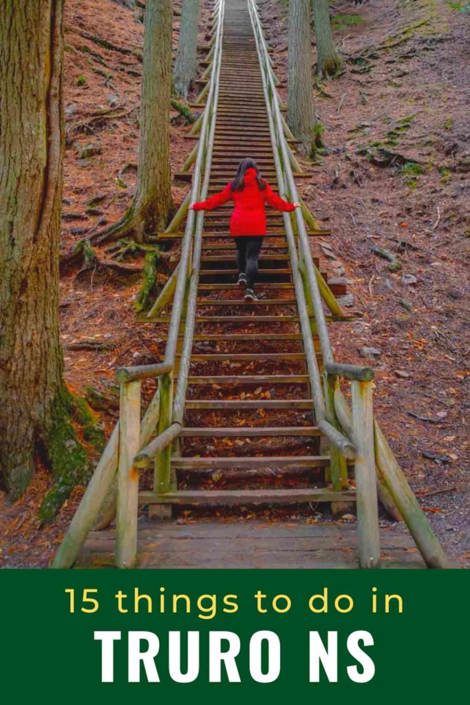 Ayngelina climbing stairs at Truro Victoria Park