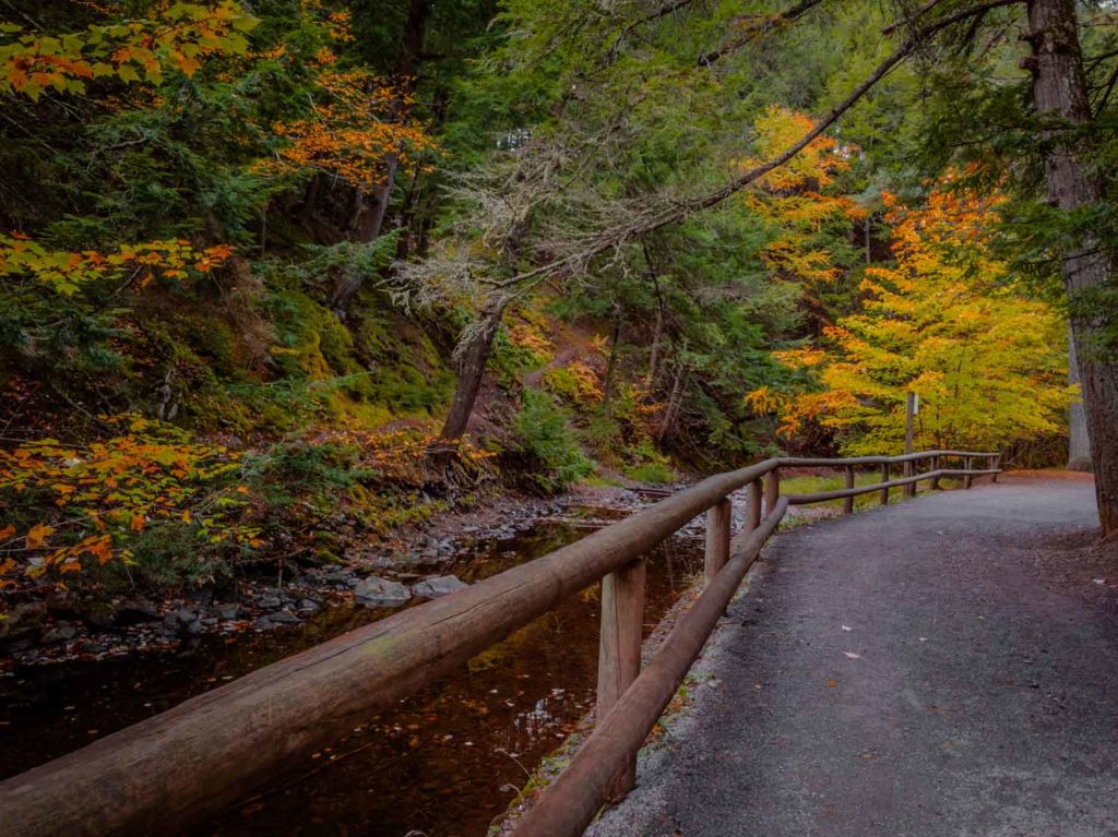 Victoria Park in autumn