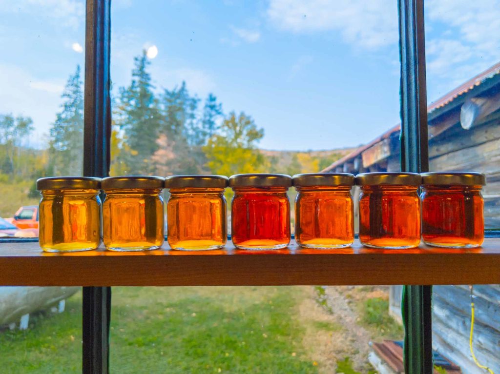 Various colours of maple syrup against a window.