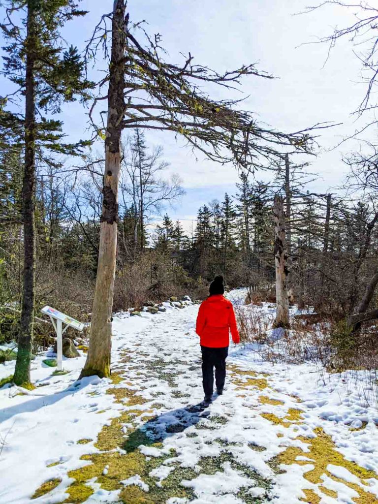 Tkipok trail in Yarmouth Nova Scotia, Ayngelina walking down trail in winter