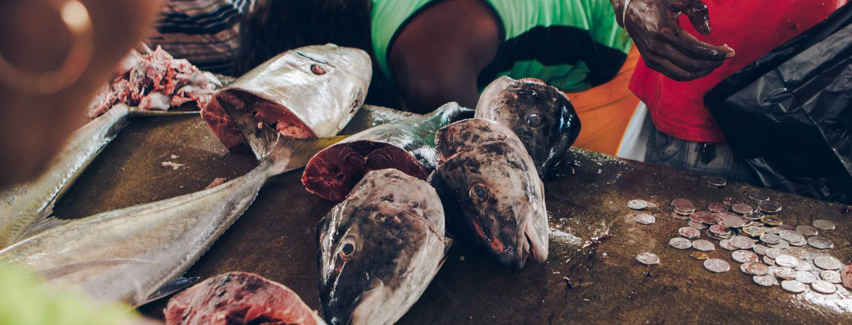 Fish market in Seychelles