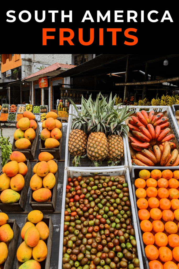 South American fruits