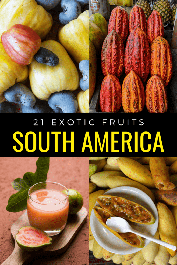 South American fruits