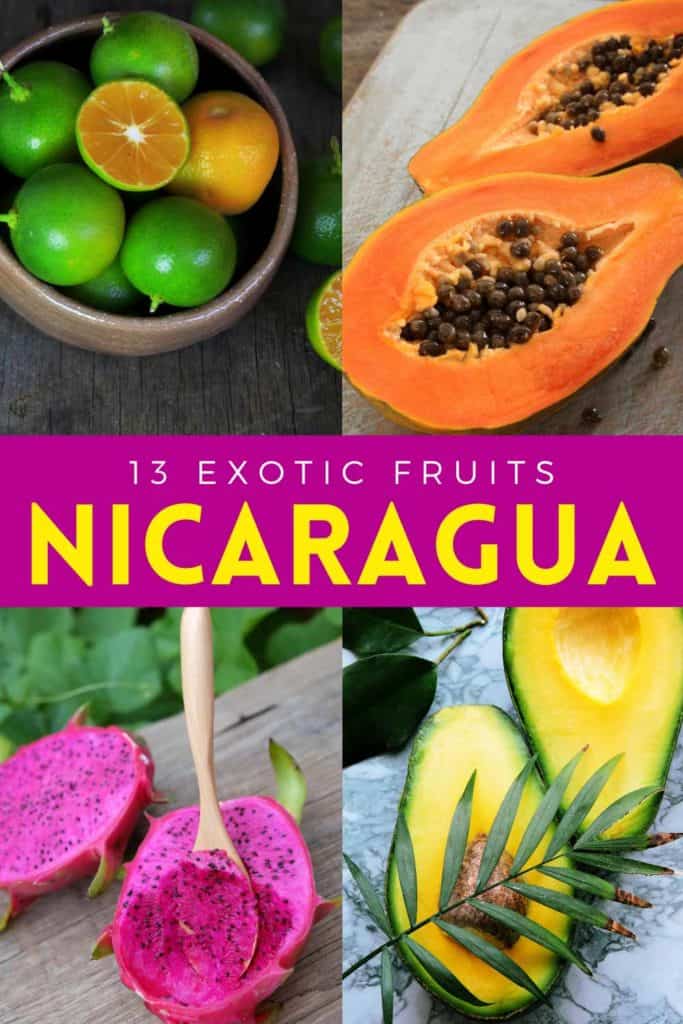 collage of fruits in Nicaragua