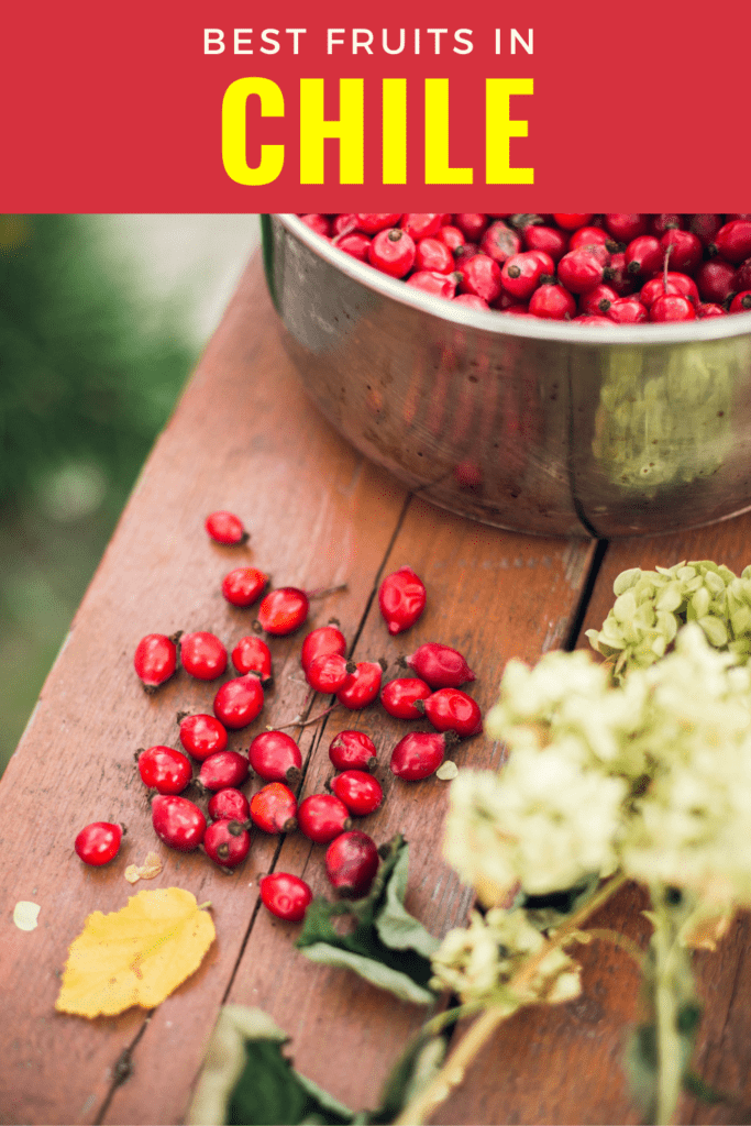 Rosehips on table with text best fruits in Chile