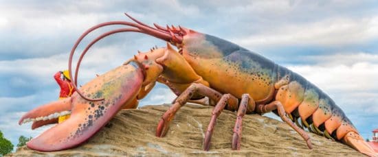 Giant Lobster Shediac New Brunswick
