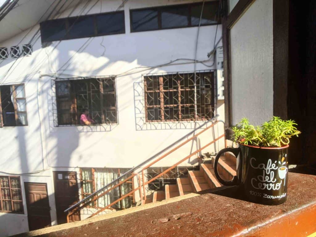 Zaruma Coffee cup on ledge looking out window into neighbourhood