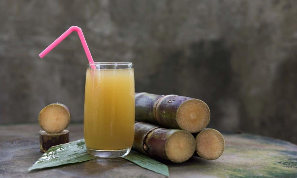 Brazilian drink known as Aana de Acucar or sugar cane juice, Piece of sugarcane juice with neutral background