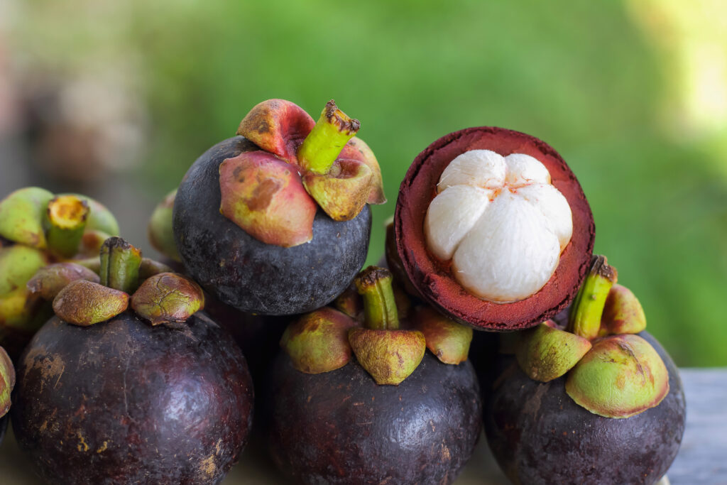 mangosteen fruits