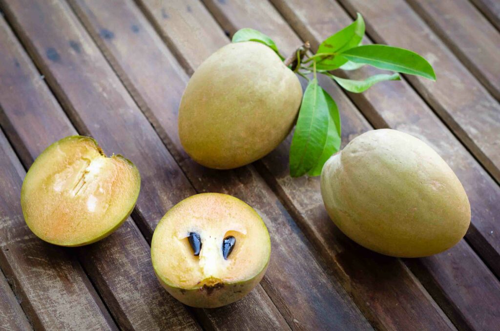 ciku fruit cut open and whole on a table in Malaysia also known as sapodilla