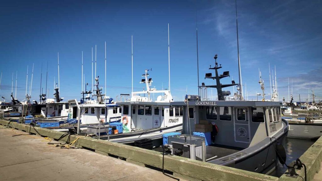 fishing boats Grande Entree Magdalen Islands