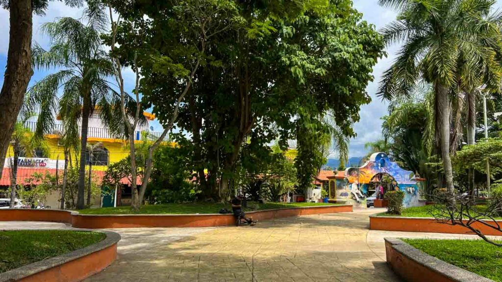 Lo de Marcos zocalo with lush green trees
