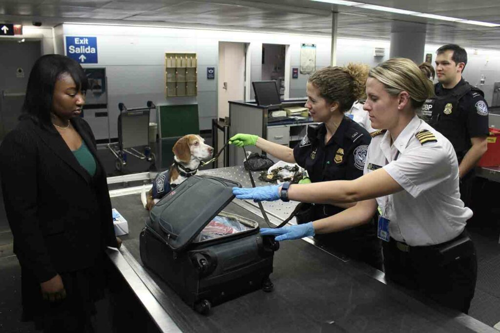 woman going through airport security bag being checked as well as dog