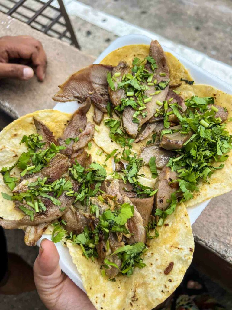 beef tongue tacos from a street vendor in Puerto Vallarta