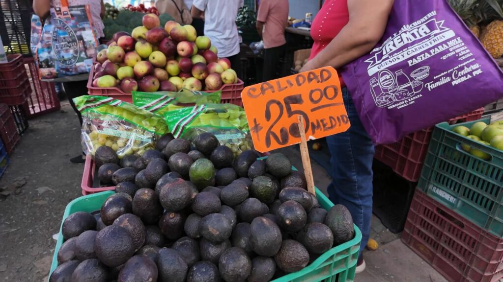 Mexican avocados for sale at market in Puebla