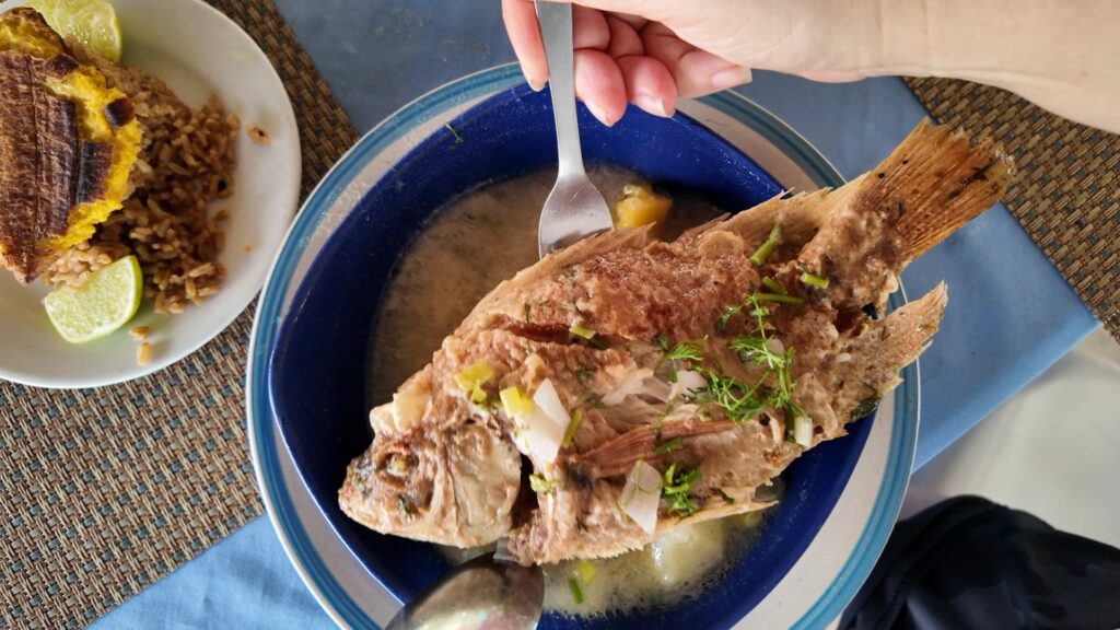 Rosario Islands fish lunch