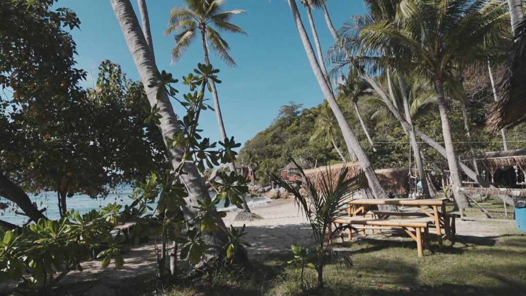 Sai Thong Beach Ko Tao a hidden beach in Thailand with palm trees surrounding it