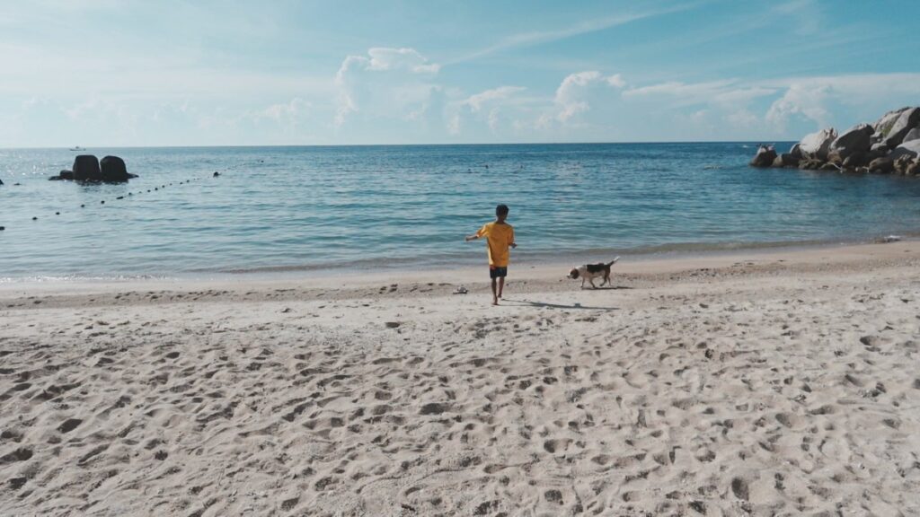 Sai Thong Beach Sai Nuan boy on beach with dog in Thailand