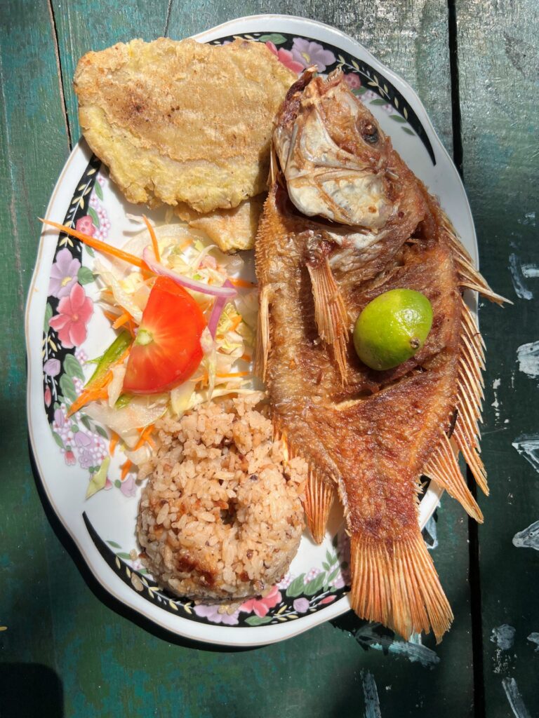 pescado frito with coconut nice and patacones on green table at Playa Cristal beach in Santa Marta