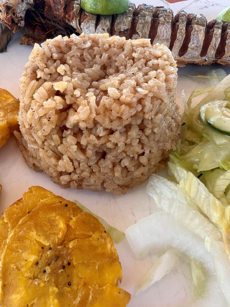 Close up on classic Cartagena food coconut rice