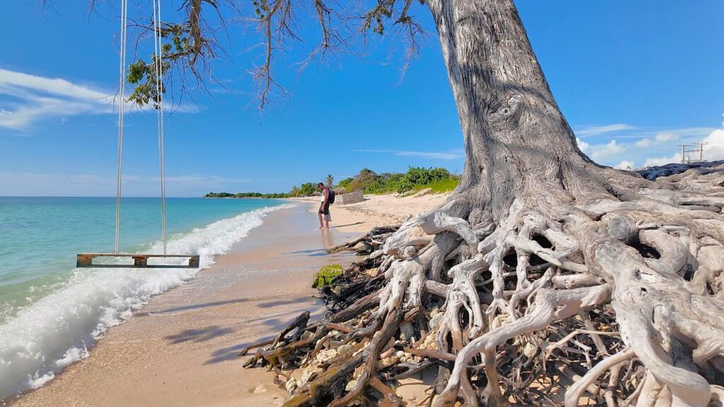 Trinidad Playa Ancon Cuba tree swing