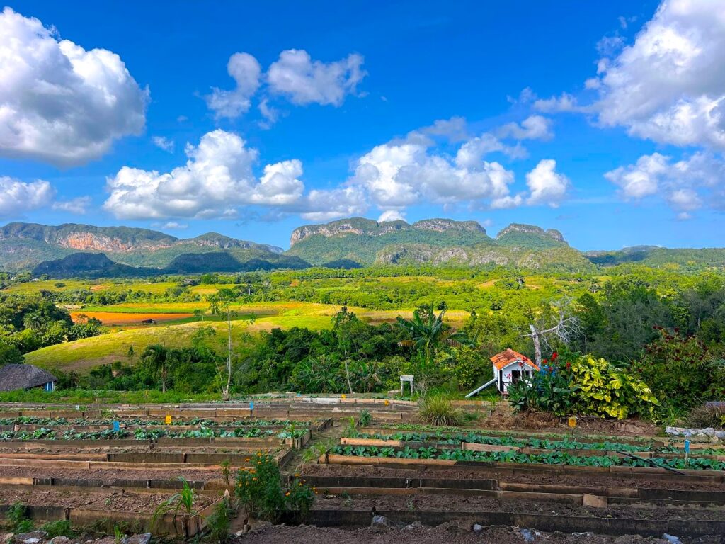 Vinales El Paraiso Agritourism Restaurant Farm on a sunny day overlooking the farm