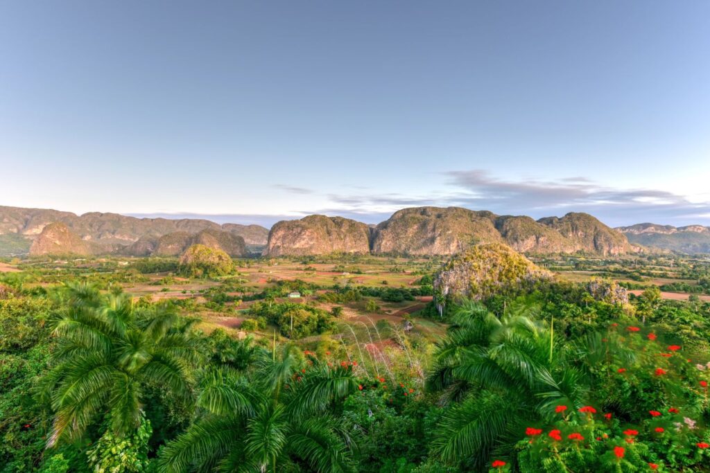 VInales Valley at dusk with view of the mogotes and lush foliage and flowers in the foreground