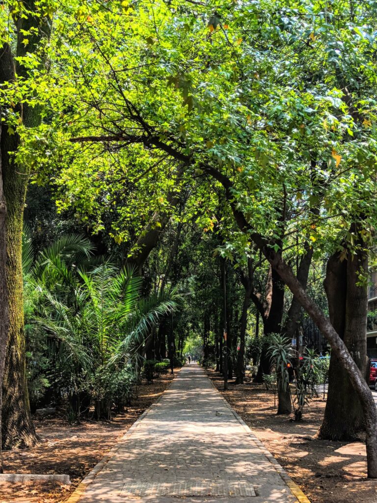 La condesa mexico city walking path